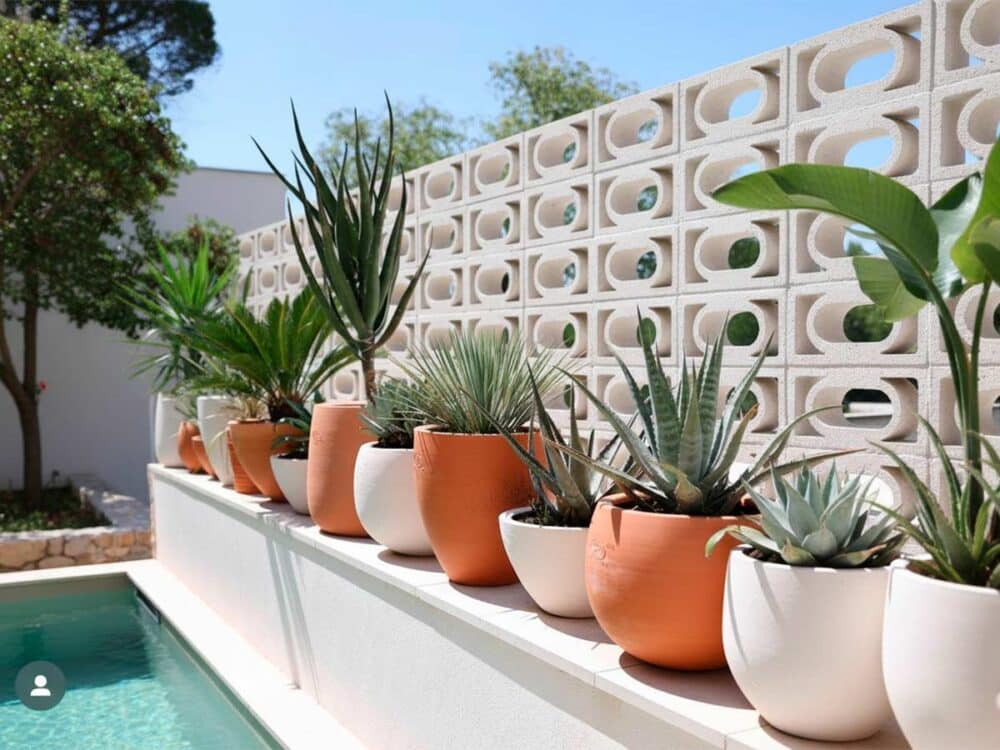 Celosía Carnaval 20x40x6 cm