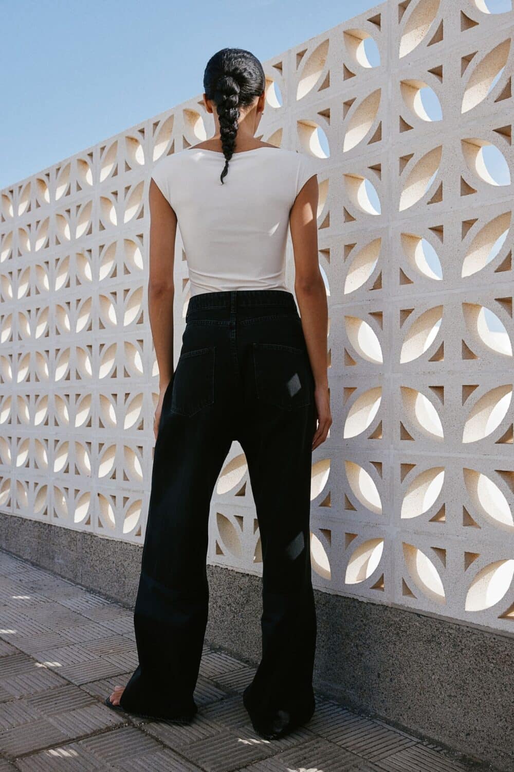 Celosía bloque Ficus 40x20x20 cm